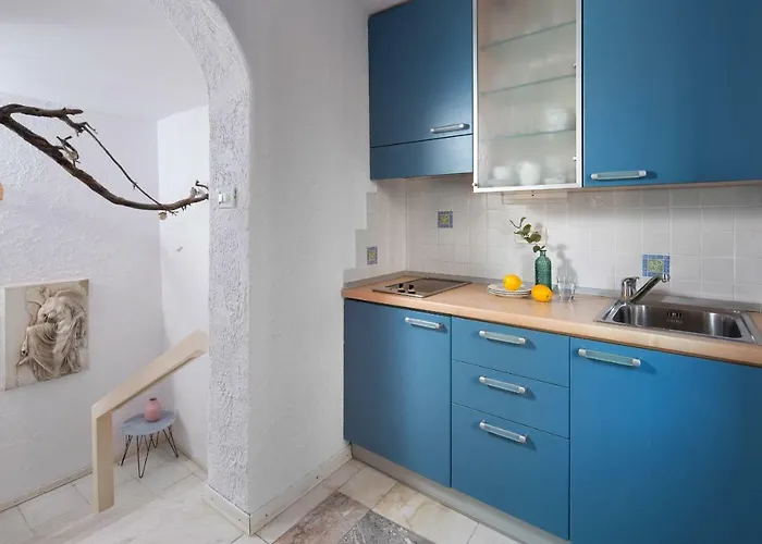 Cissa By Irundo Ρόβινι